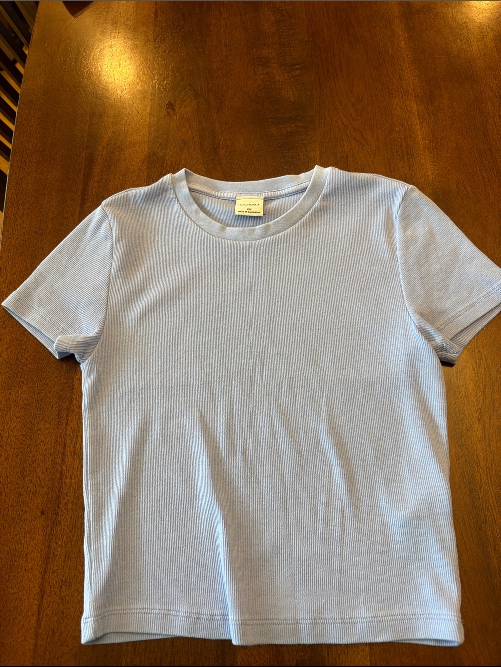 Aritzia Pale Blue Short Sleeve Crew Tee